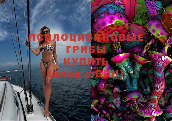 гидра Аркадак